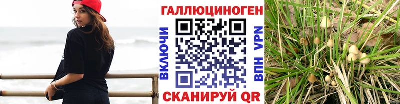 Псилоцибиновые грибы мицелий  Купить закладки  Могоча 